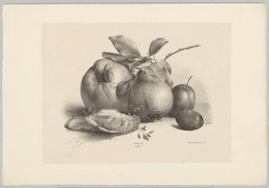 Früchte, Pflaumen und Austern