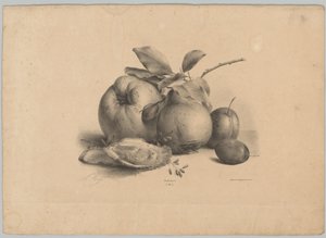 Früchte, Pflaumen und Austern (Blumen- und Fruchtstudien, 10. Folge)
