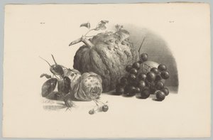 Kürbis, Trauben, Rose und Erdbeeren