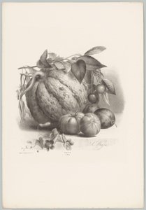 Kürbis, Tomaten und Kirschen von Anton Weiss