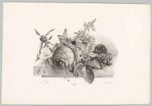 Rosen, Lilien, glockenförmige Blumen und Schmetterling