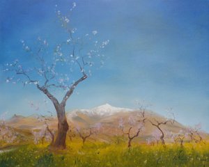 Mandelblüte mit schneebedecktem Sierra Nevada Berg, 2016