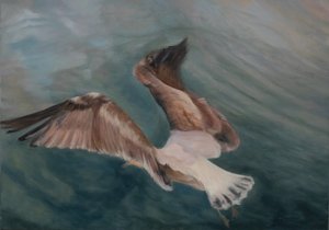 Möwe landet, 2012 von Antonia Myatt