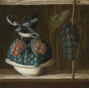 Stillleben mit Trauben und einer grauen Würger (Allegorie der Malerei) von Antonio (fl.1478 1513) Leonelli