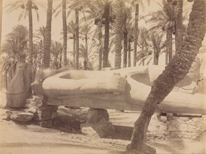 Statue von Ramses in Saqqara, ca. 1870er-1880er