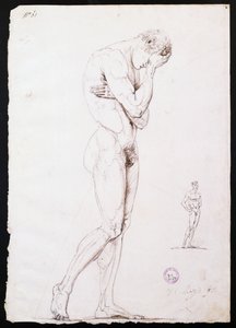 Stehender männlicher Akt im linken Profil von Antonio Canova