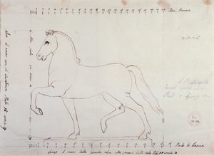 Studie für ein Pferd für ein Reitermonument