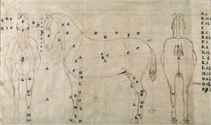 Studie für ein Pferd für ein Reitermonument von Antonio Canova