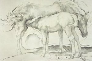 Pferde bei Coolmore, 1990 von Antonio Ciccone