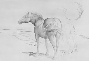 Pferde bei Coolmore, 1990