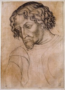 Büste eines bärtigen Mannes, Kopf nach links geneigt. Zeichnung aus der Werkstatt von Antonio di Puccio Pisano dit Pisanello (1395-1455)
