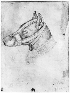 Kopf eines Maulkorb-Hundes, aus dem Vallardi-Album von Antonio Pisanello