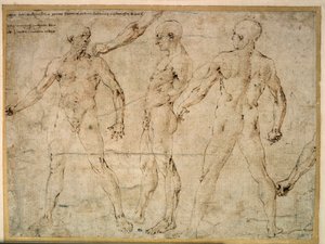 Drei nackte Männer. Zeichnung von Antonio Pollaiuolo (1432-1498)