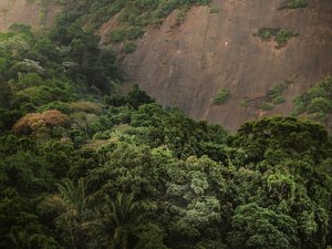 Corcovado XV, 2020 von Antonio Schubert