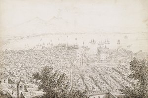 Ein Panoramablick auf Neapel von Antonio Senape