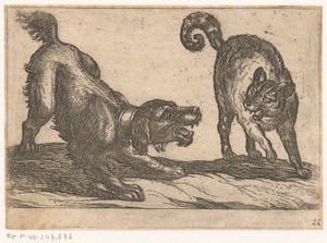 Ein Hund kämpft mit einer Katze von Antonio Tempesta