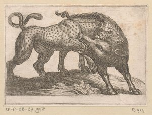 Ein Leopard kämpft mit einem Wildschwein von Antonio Tempesta