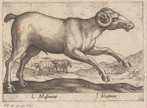 Geitachtige Dieren und Fabelwezens von Antonio Tempesta