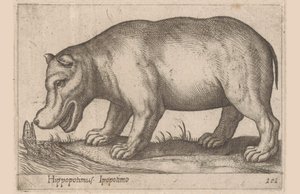Nilpferd von Antonio Tempesta
