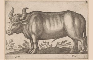 Rind von Antonio Tempesta
