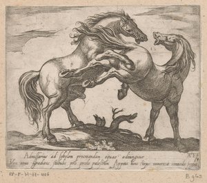 Zwei paarende Pferde (Paarden uit verschillende landen)