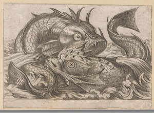 Zwei kämpfende Fische