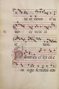 Verzierte Initiale P