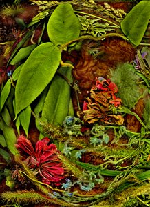 Anderswelten Nr. 113