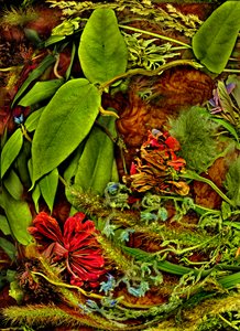 Anderswelten Nr.2, 2025 von Antonius Antonius