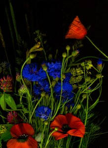 Originales Bouquet von Antonius Antonius