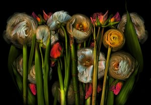 Erdkunst Flora Nr. 3, 2024