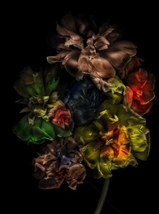 Blumen 13-1, 2025 von Antonius Antonius