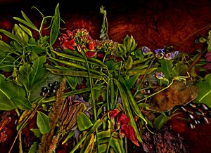 Stillleben m 3, 2014