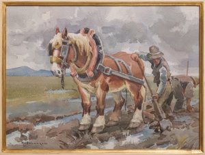 Arbeit auf den Feldern von Arcangelo Salvarani