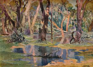 Quindanning Pool, ca. 1927