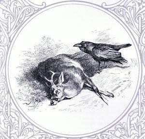 Hirsch und Rabe, veröffentlicht von Book Club Associates von Archibald Thorburn