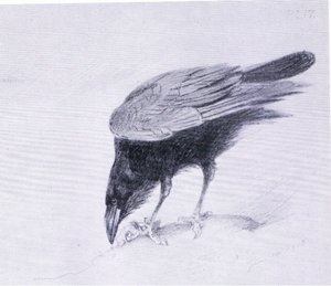 Rabe, veröffentlicht von Book Club Associates von Archibald Thorburn