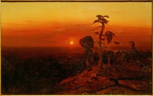 Sonnenuntergang über einem Kiefernwald