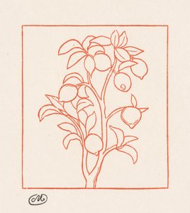 Die Georgica: Zitronenbaum von Aristide Maillol
