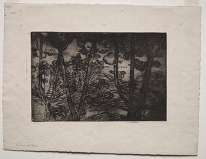 Bäume bei Nacht, ca. 1894 von Armand Séguin