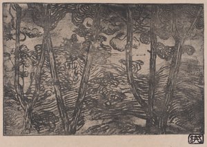 Bäume bei Nacht, ca. 1894 von Armand Séguin