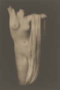 Modernes Torso