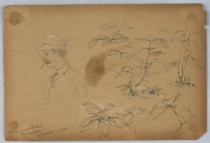 Vordergrundstudien, Ramapo von Arnold William Brunner