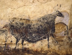 Schwarze Kuh. Höhlenmalerei von Lascaux, ca. 16.000-15.000 v. Chr. von Art of the Upper Paleolithic.