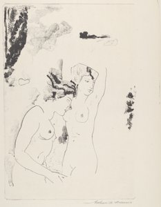Nymphen des Baches