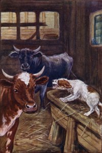 Äsops Fabeln: Der Hund im Krippenstall von Arthur Claude Cooke