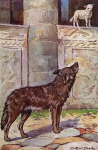 Äsops Fabeln: Das Zicklein und der Wolf von Arthur Claude Cooke
