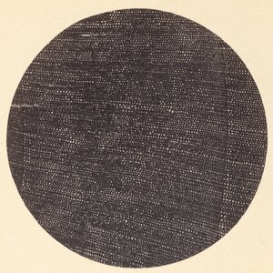 Mikrofotografie eines Querschnitts von Holz Salisburia, 1870er von Arthur Durham