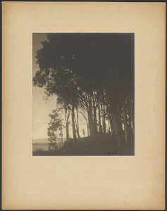 Tanzende Nymphe