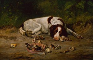 Braver Hund von Arthur Fitzwilliam Tait
